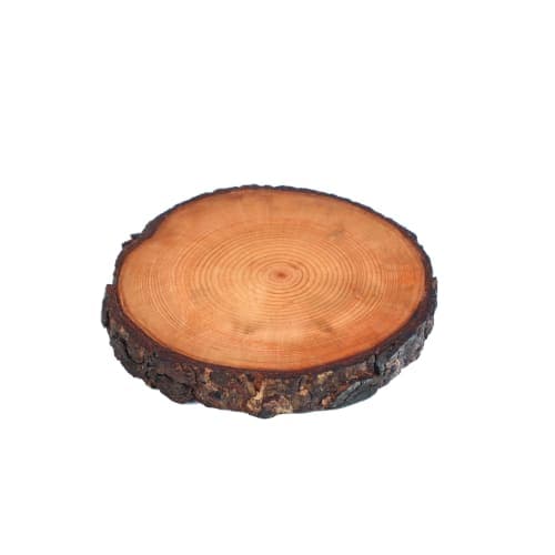 Rondelle décorative Cèdre d’Azrou – Cernes naturels et bord d’écorce — vue I
