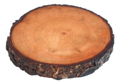 Rondelle décorative Cèdre d’Azrou – Cernes naturels et bord d’écorce — vue V