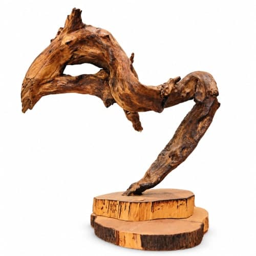 Sculpture racine Cèdre d’El Hajeb – Mouvement organique sur socle — vue I