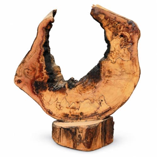 Sculpture croissant Cèdre d’El Hajeb – Demi-lune naturelle et traces brûlées — vue I