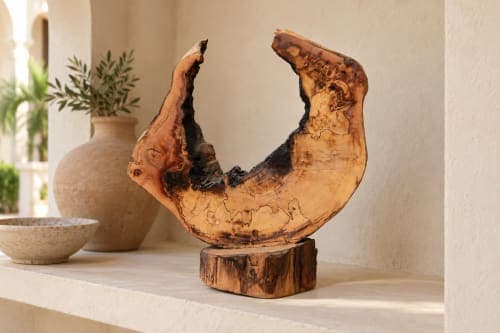 Sculpture croissant Cèdre d’El Hajeb – Demi-lune naturelle et traces brûlées — vue IV