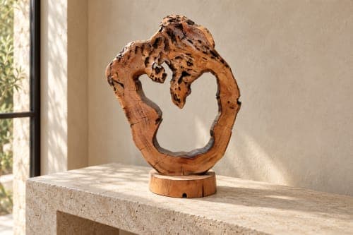 Sculpture anneau organique Cèdre d’El Hajeb – Cercle ouvert et cavités naturelles — vue II
