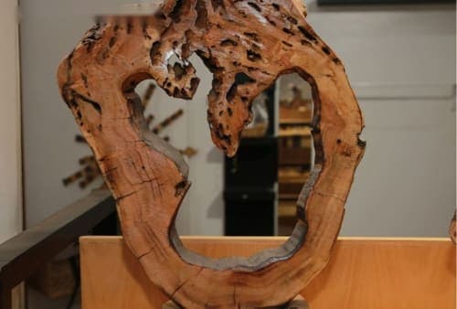 Sculpture anneau organique Cèdre d’El Hajeb – Cercle ouvert et cavités naturelles — vue V