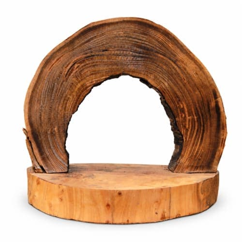 Arche décorative Cèdre d’El Hajeb – Cernes apparents et socle naturel — vue I