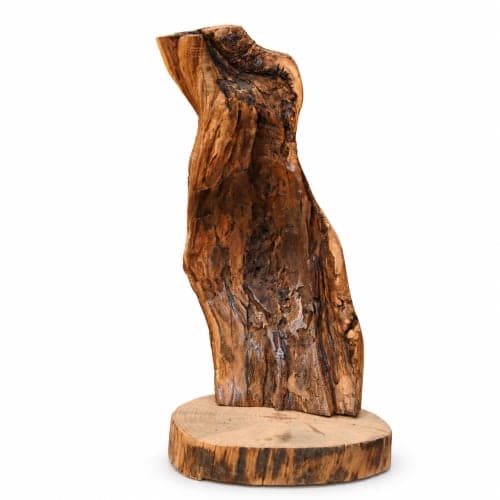 Totem brut Cèdre d’El Hajeb – Fragment vertical et texture vivante — vue I