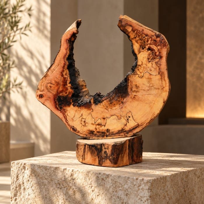 Sculpture croissant Cèdre d’El Hajeb – Demi-lune naturelle et traces brûlées