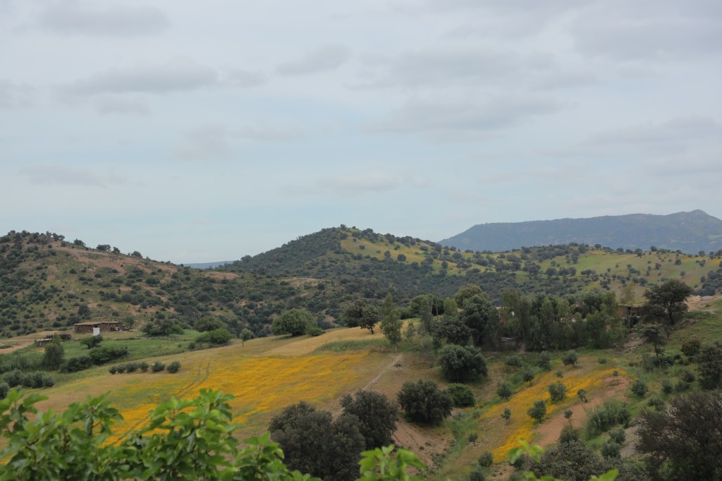 Middle Atlas hills — YEDART territory